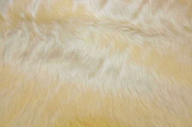 Plain Fur Toffee